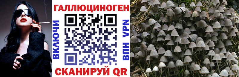 цены   Пыть-Ях  Галлюциногенные грибы мицелий 