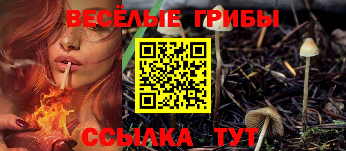 ЭКСТАЗИ  ГАШИШ  Вход с VPN  Каннабис  Меф МЯУ МЯУ  Меф МЯУ МЯУ кристаллы  Пыть-Ях  Кокаин 